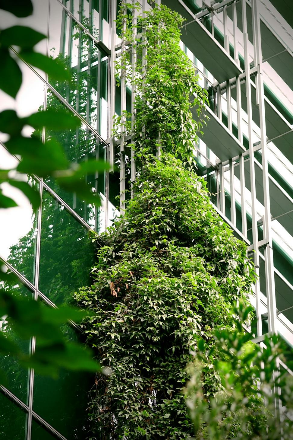 Sustainable architecture
